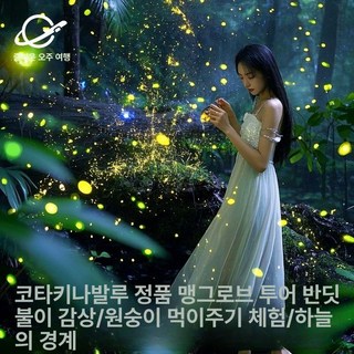 반딧불조명 레이저 오로라 프로젝터, 1개, 로열 베이 VIP 스카이 렐름