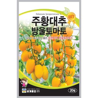 세계종묘 주황대추방울토마토 20립, 1개