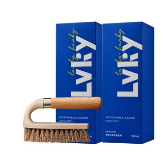 라키 다목적 세정제 500ml 2개 + 청소솔 세트 욕실 주방 집들이, 1개