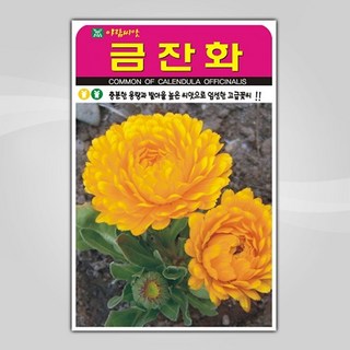 슬로시 꽃 씨앗 모음 꽃씨 허브 허브씨, 1개