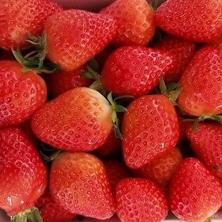 국내산 충남 논산 설향 딸기, 1박스, 1kg(A급,60-80구)