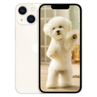 i폰13 새상품 미개봉, 256GB, 옵션명 아이폰 스타라이트