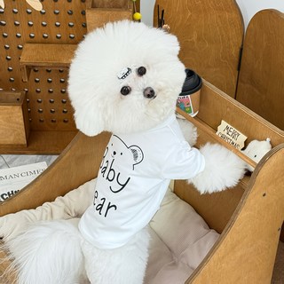 강아지 봄여름 맨투맨 티셔츠 베이비베어 프린트 데일리룩 소형견 옷, 1개, White