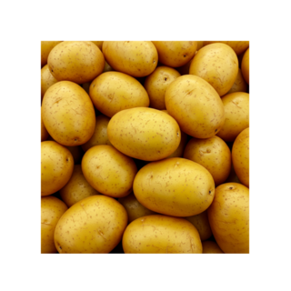 국내산 강원도 수미감자 햇감자, 1박스, 5kg(중)