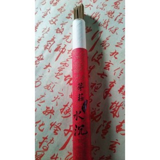 天藏香香業 芽莊水沉臥香/野生老料/10g, 10g裝