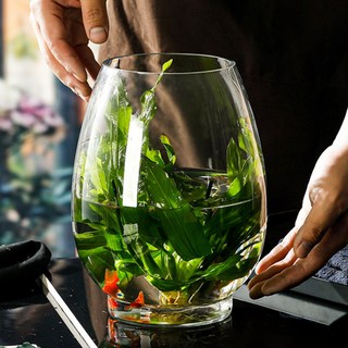 가든홀릭 수경재배 라운드 화병 테라리움 인테리어