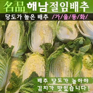 명품해남절임배추 20kg (해남산지직송 프리미엄품종 해수절임) (11월6일부터 출하됩니다.), 1개, 도착날짜입력하기, 해남절임배추