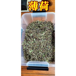 怪獸工坊 天然保健花草 乾燥花草 100G/包, 薄荷 100G