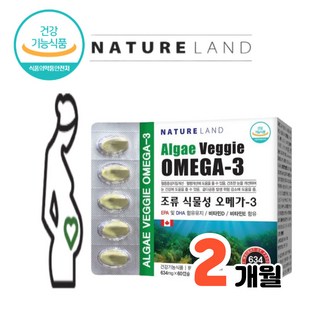 네이처랜드 오메가3 식물성 EPA DHA 비타민E 비타민D, 60정, 2개