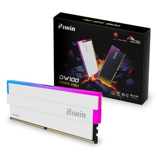 [공식수입사] Biwin DDR5-6000 CL30 DW100 RGB 화이트 패키지 (64GB(32Gx2)) 코잇, [BIWIN]B5DW100646030ER2G-CW013
