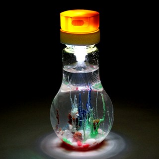 (SA) SA광섬유화학정원(5인세트)