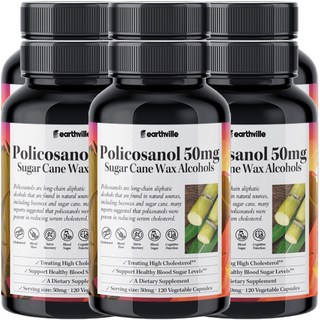 어스빌 폴리코사놀 50mg 사탕수수왁스알코올 옥타코사놀 10 20 베지캡슐, 120정, 6개