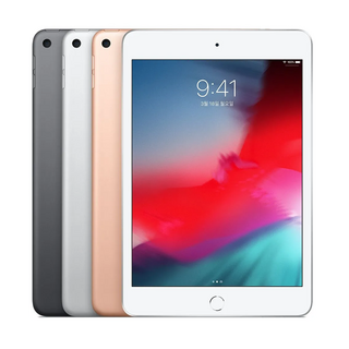 Apple iPad mini 5세대, 골드, 64GB, Wi-Fi+Cellular