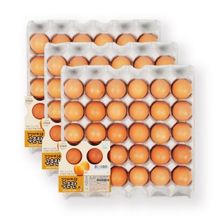 [YJ푸드] 구운계란 구운란 30구 60구 90구 120구 / HACCP인증, 3개