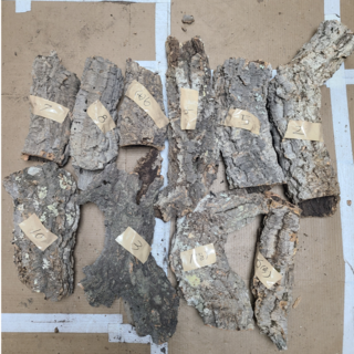 보물찾기 코르크튜브 다양한 사이즈 20cm~40cm 파충류 용품 천연 튜브 비바리움 재료 도마뱀 은신처 크레 사육장, 1개, 7번 길이29지름13