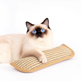 푸뜨 캣닢 꽉찬 고양이 베개 스크래쳐 마따따비 캣닙 인형 분리불안 장난감 스트레스해소, 1개, L