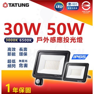 大同 LED 紅外線感應戶外投光燈 30W 50W CNS認證全電壓 IP65 戶外投射燈, 1個, 感應,30W-白光(4顆以上宅配)