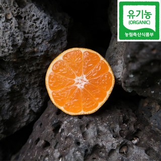 믿고 먹는 제주 유기농 감귤 태평농원 못난이 귤 친환경 무농약, 1박스, 4.5kg 로얄과 (S-M)
