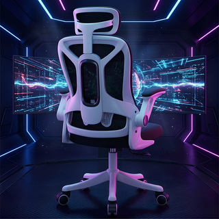 SUNDI 게이머 의자 고급 사무실 편안한 가정용 SD-HS909, 블랙