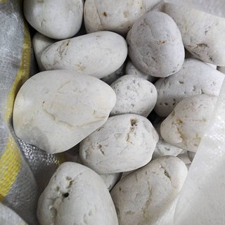 P老闆水族 大白石 圓石 淨化水質 濾水 造景 水族鋪底 鵝卵石 底砂 過濾 淨化水質 濾材 園藝造景, 1個, 1KG