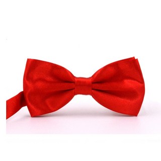 나비 넥타이 남자 보타이 단체 공연 소품 돌잔치 파티