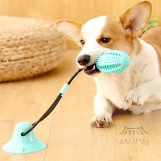 우노구나 애구애구 강아지 터그놀이 노즈워크 대형견 장난감 치석제거 강아지칫솔장난감, 1개