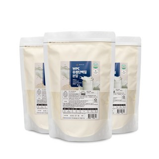 WPC유청단백질분말100% 500g팩 미국산 HACCP 인증제품, 3개, 500g