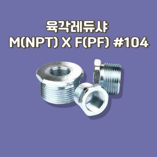 육각레듀샤 ADAPTER EAG M(NPT)XF(PF) 104, 104/22, 1개