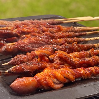 푸드지 탱글탱글 쫄깃한 낙지호롱 꼬치, 450g, 1개