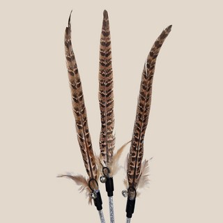 [1+1] 크레용펫 꿩 깃털 롱테일 스틱 막대, 2개, 꿩 롱 테일 스틱