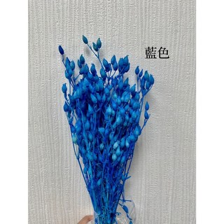 蠅子草 野蚊子草 乾燥花 (一份10個花頭) - 自然風格居家裝飾，輕鬆打造溫馨氛圍, 藍色