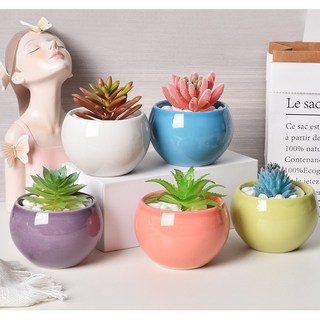 微景小舖 簡約圓球形花盆 迷你花盆 綠植盆栽 花器 花盆 多肉植物 園藝造景 陶瓷花盆, 1個, 亮光彩球盆,紫色/1個(不含植物)