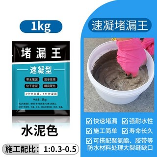 鑫隆五金 正品堵漏王 快乾水泥 砂漿膠防水 補漏 速乾防漏劑 衛生間 填縫膠 泥修補屋頂, 1個, 【速乾型】堵漏王1kg