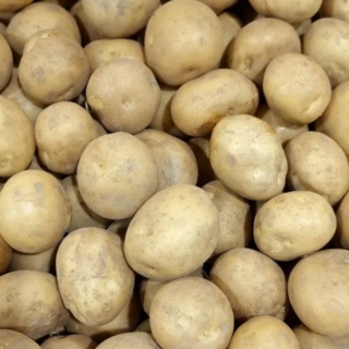 포슬포슬 맛있는 햇감자 사이즈별, 햇감자 왕특, 10kg, 1개