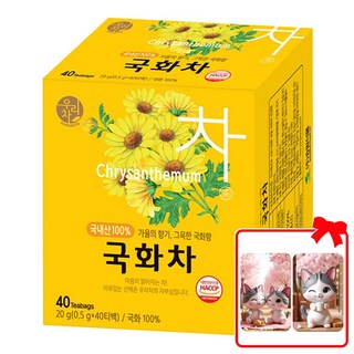 송원 국산 국화차 티백 + 대순이 캐릭터 포토카드 증정, 1개, 40개입, 0.5g
