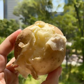 꿀품 강원도 수미 감자 햇감자, 5kg (대), 1개