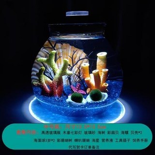 海藻球水培植物微景觀生態瓶苔蘚盆栽玻璃瓶 (包郵), 彩色雙珊瑚款3歲2顆, 1個