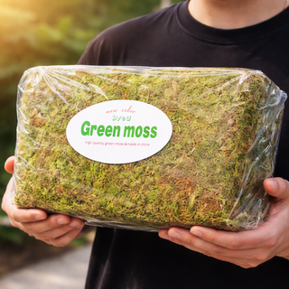 천연이끼 건조 이끼 인삼 테라리움 비바리움 장식 토피어리 조경용 인조잔디 700g, 1개