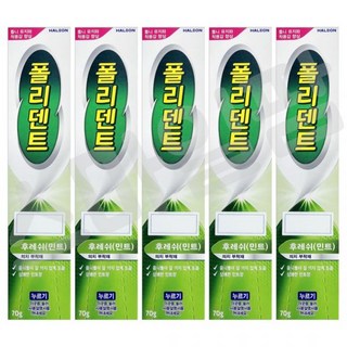 폴리덴트틀니접착제 틀니고정강화 의치부착재 후레쉬민트70g x 5개