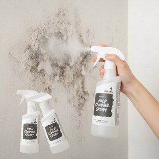 에코후레쉬 프리미엄 곰팡이 제거제500ML 1+1 총2개, 2개, 500ml