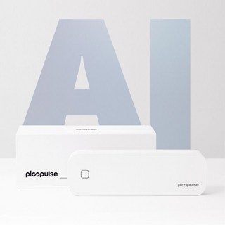 피코펄스 휴대용 A4 프린터 무선 라벨프린터, 1개, D80 화이트