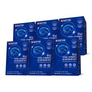 일양약품 두뇌 인지력 기억력엔PS 포스파티딜세린 징코, 6박스, 60정