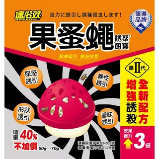 速度公園 速必效 果蚤蠅餌劑 70g 滅果蠅、蚤蠅 果凍狀誘聚餌寶 誘捕盒 殺蟲劑, 1個