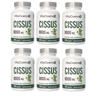 미국 비타코스모 VitaCosmoX 프리미엄 시서스 시서스캡슐 가루 분말 케토스테론 50% Cissus 고함량 고농축 8000mg, 6개, 240정