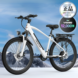 리프테크 고성능 전기자전거 미니 바이크 스쿠터 추천 배달 가성비 파스 pas 자토바이, [기본형/White] 25Ah, 경량스틸