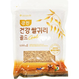 농협 [25년산 햇곡] 대한민국 쌀귀리 특구 강진산 귀리 골드, 1개, 1kg