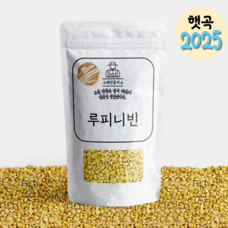 호주산 루피니빈 콩 루핀콩 저속노화, 2kg, 1개