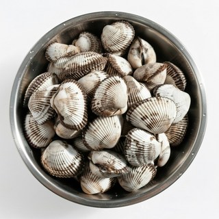 벌교직송 당일조업 싱싱한 제철 새꼬막, 1개, 싱싱 3kg (상)