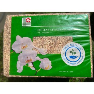 萬美園藝資材 智利水苔 1公斤 原包裝 鹿角蕨 爬蟲類 蘭花 多肉 食蟲植物 蔓綠絨 觀音蓮 上板用, 1個