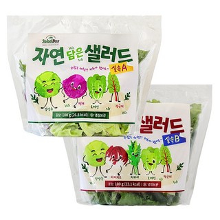 [샐러드박스] 자연 담은 샐러드 100 g 실속A+B 혼합구성 야채믹스 샐러드, 10개, 100g